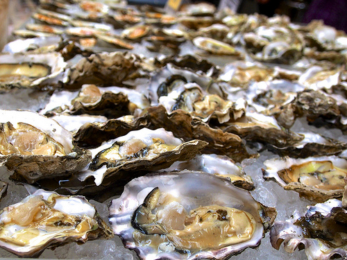 Craving Fresh Oysters, 77 H? Seafood Lovers Rave About Johnny’s Half Shell!