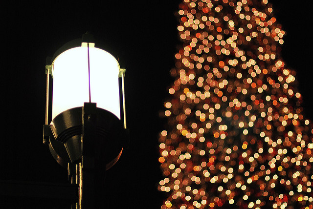 Visit the National Christmas Tree in President’s Park Completely for Free!