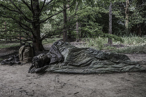 Explore a Collection of Contemporary Art at the Hirshhorn Museum & Sculpture Garden