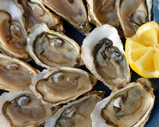 Arrive Hungry to the Chesapeake Oyster, Wine, & Beer Festival on Sept. 21