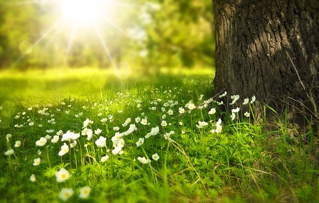 While Away a Sunny Spring Day at Stanton Park
