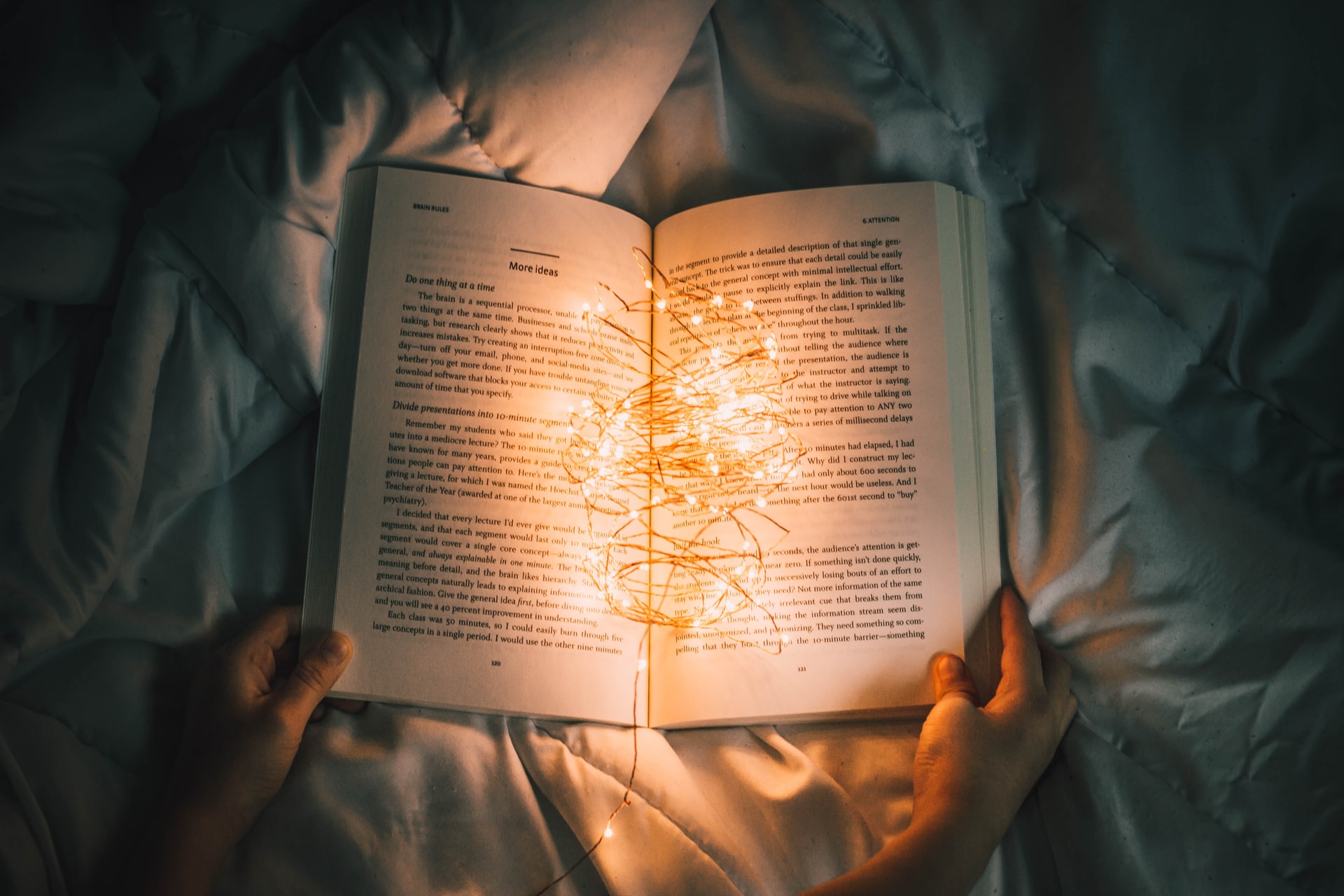 Solid State Books Has Gifts for Every Bibliophile on Your Nice List This Year