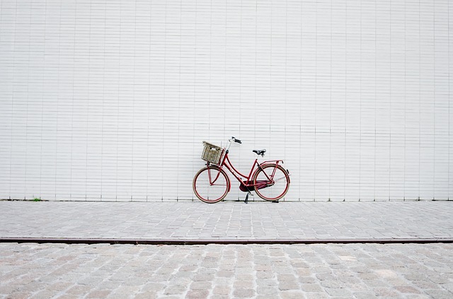 Treat Your Bike to a Tune-Up at The Daily Rider