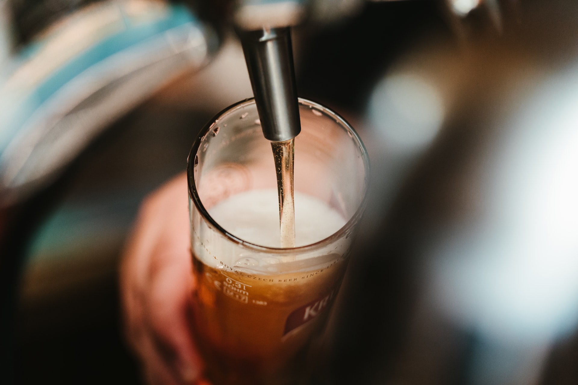 Tip Back an IPA at Dacha Beer Garden